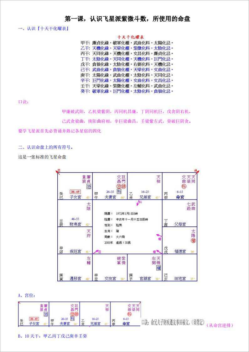 Fei Xing Purple Wei Dou Shuan classroom notes (must read to learn Dou Shuan) 226 pages.pdf