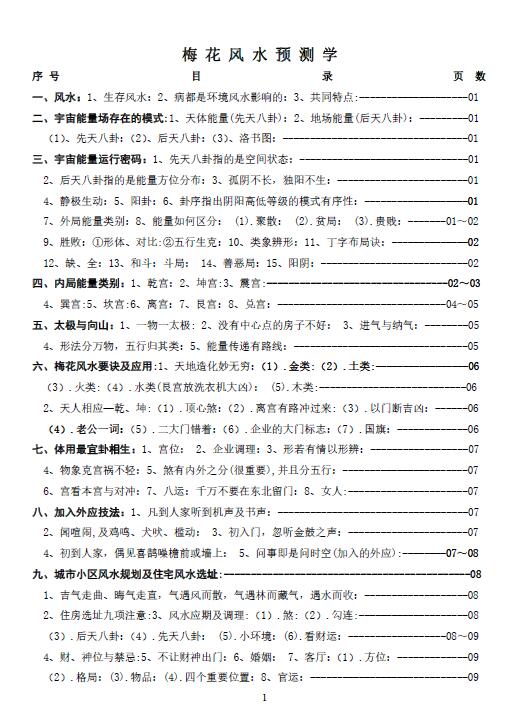 Plum Blossom Fengshui Prediction 25 pages